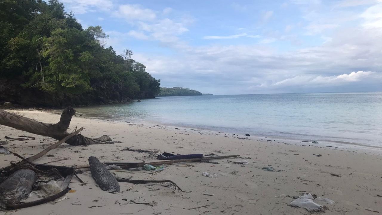 Thumbnail artikel Pentingnya Penghijauan di Lingkungan Kampus